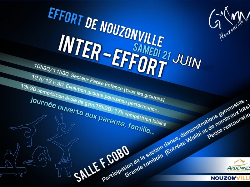 Journée INTER-EFFORT